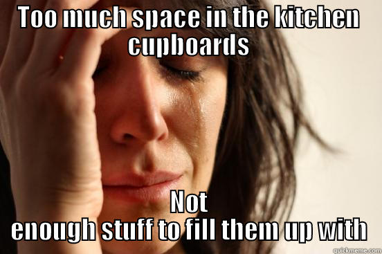 TOO MUCH SPACE IN THE KITCHEN CUPBOARDS NOT ENOUGH STUFF TO FILL THEM UP WITH First World Problems