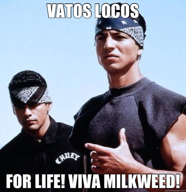 VATOS LOCOS FOR LIFE! VIVA MILKWEED!  