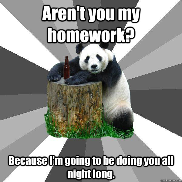 Aren't you my homework? Because I'm going to be doing you all night long.  Pickup-Line Panda