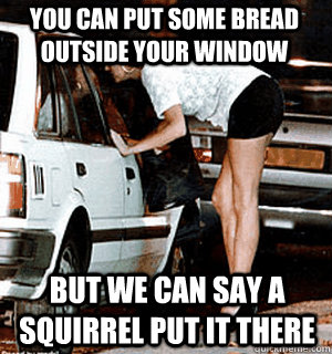 you can put some bread outside your window But we can say a squirrel put it there  Karma Whore