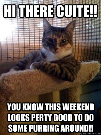 Hi There cuite!! You know This weekend looks perty good to do some purring around!!  The Most Interesting Cat in the World
