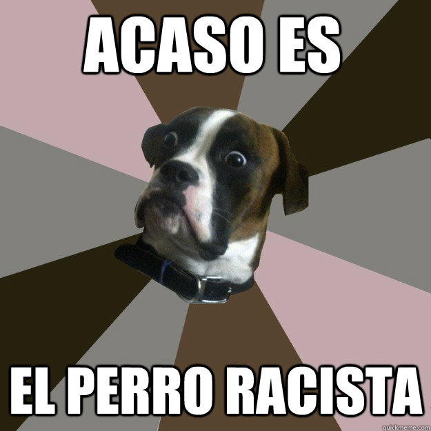 acaso es el perro racista  Genuinely Surprised Dog