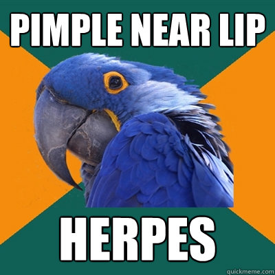 Pimple near lip HERPES  Paranoid Parrot
