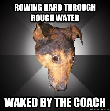 Rowing hard through rough water Waked by the coach  Depression Dog