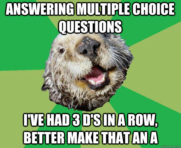 Answering Multiple Choice questions I've had 3 D's in a row, better make that an A - Answering Multiple Choice questions I've had 3 D's in a row, better make that an A  OCD Otter