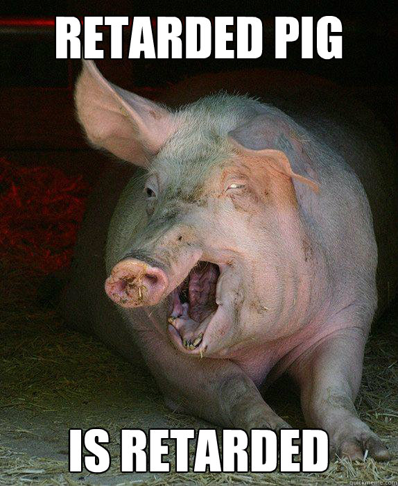 ReTarded pig is retarded  
