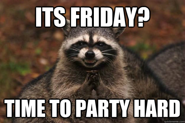 Its friday? time to party hard - Its friday? time to party hard  Evil Plotting Raccoon