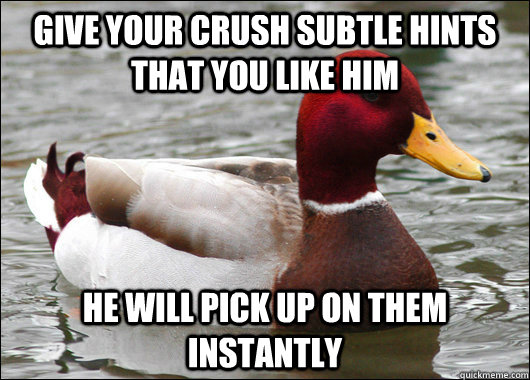 give your crush subtle hints that you like him he will pick up on them instantly  Malicious Advice Mallard
