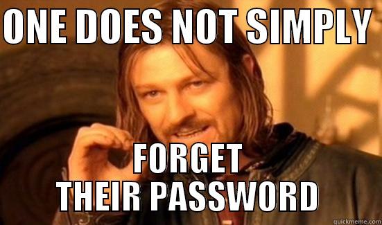 ONE DOES NOT SIMPLY  FORGET THEIR PASSWORD Boromir