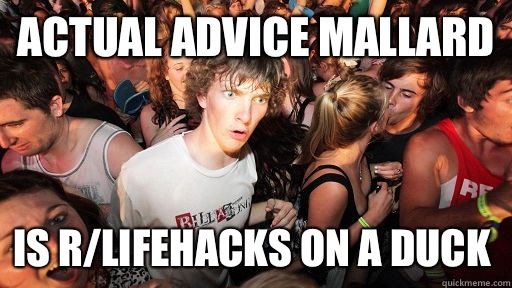 Actual Advice Mallard Is r/lifehacks on a duck  Sudden Clarity Clarence