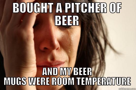 BOUGHT A PITCHER OF BEER AND MY BEER MUGS WERE ROOM TEMPERATURE First World Problems