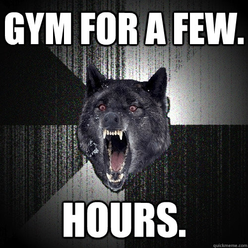 GYM FOR A FEW. HOURS.  Insanity Wolf