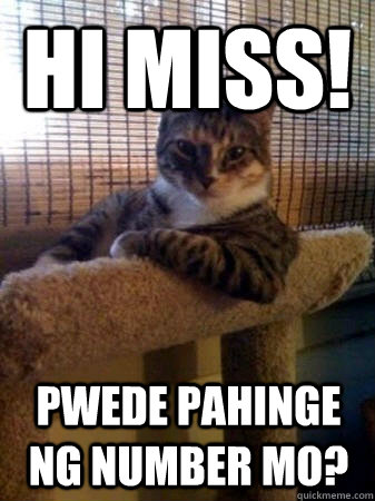 Hi Miss! Pwede Pahinge ng number mo?  The Most Interesting Cat in the World