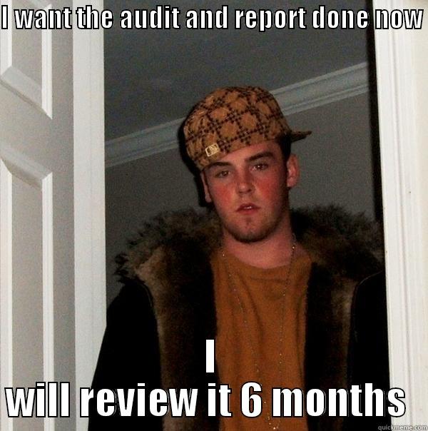 I WANT THE AUDIT AND REPORT DONE NOW  I WILL REVIEW IT 6 MONTHS  Scumbag Steve