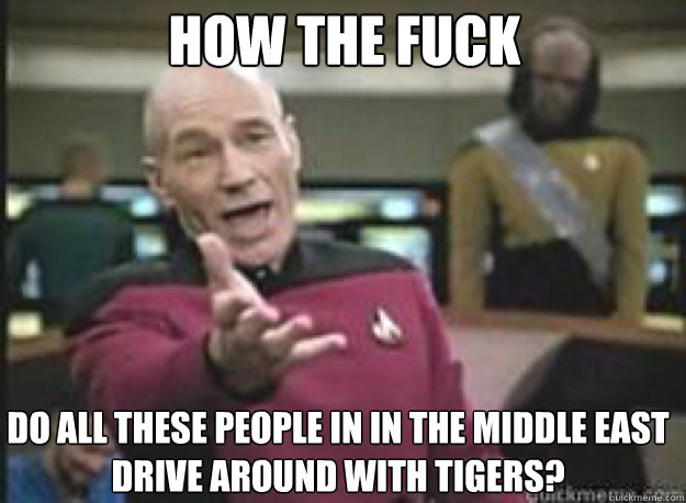 How the Fuck Do all these people in in the middle east drive around with tigers?  What the Fuck