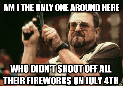 Am I the only one around here who didn't shoot off all their fireworks on July 4th - Am I the only one around here who didn't shoot off all their fireworks on July 4th  Am I the only one