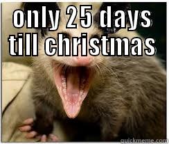 possum christmas - ONLY 25 DAYS TILL CHRISTMAS  Misc