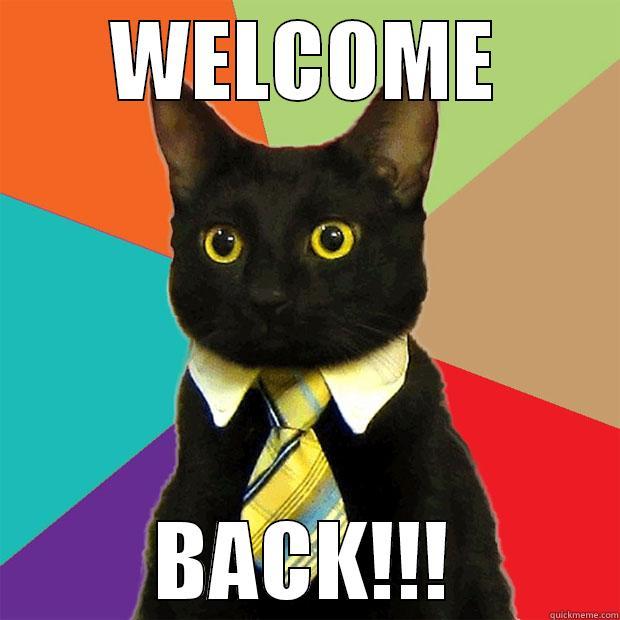 WELCOME BACK!!! Business Cat