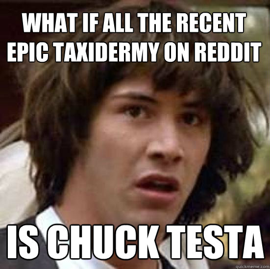 what if all the Recent Epic Taxidermy on Reddit Is Chuck Testa  conspiracy keanu