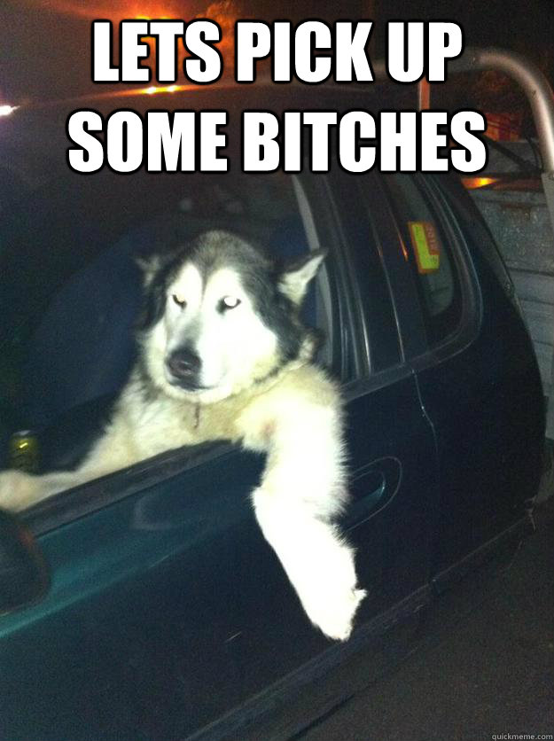 lets pick up some bitches   Mean Dog