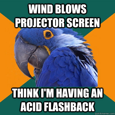 Wind blows projector screen think i'm having an acid flashback  Paranoid Parrot