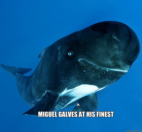              ^         
        Miguel Galves at his finest -              ^         
        Miguel Galves at his finest  agreement whale