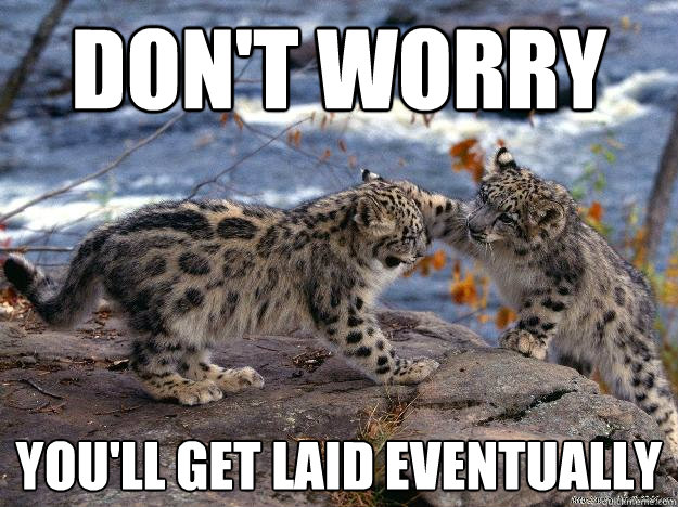 Don't worry You'll get laid eventually  Condescending Snow Leopard