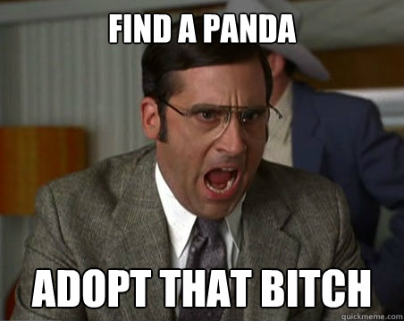 Find a panda Adopt that bitch  Anchorman I dont know what were yelling about
