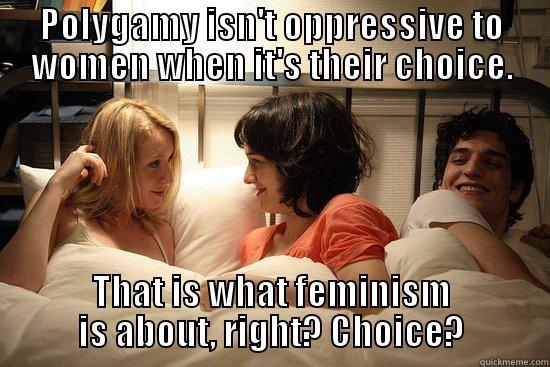 POLYGAMY ISN'T OPPRESSIVE TO WOMEN WHEN IT'S THEIR CHOICE. THAT IS WHAT FEMINISM IS ABOUT, RIGHT? CHOICE? Misc