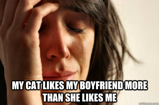  My cat likes my boyfriend more than she likes me  First World Problems