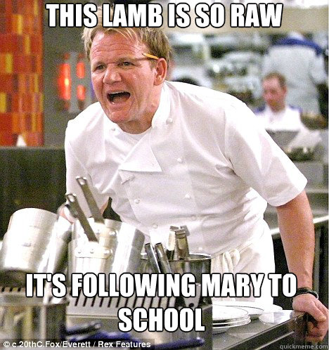 This lamb is so raw It's following mary to school  gordon ramsay