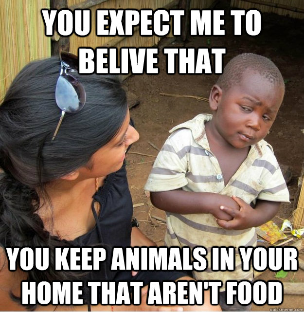 YOU EXPECT ME TO BELIVE THAT you keep animals in your home that aren't food  