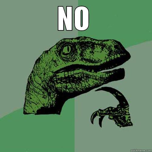 NO  Philosoraptor