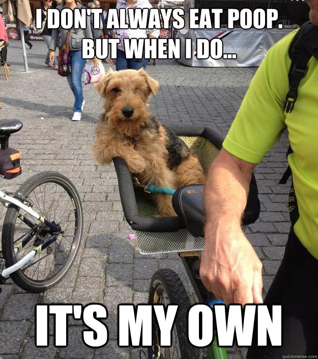 I don't always eat poop.     But when I do... It's my own  The Most Interesting Dog in the World