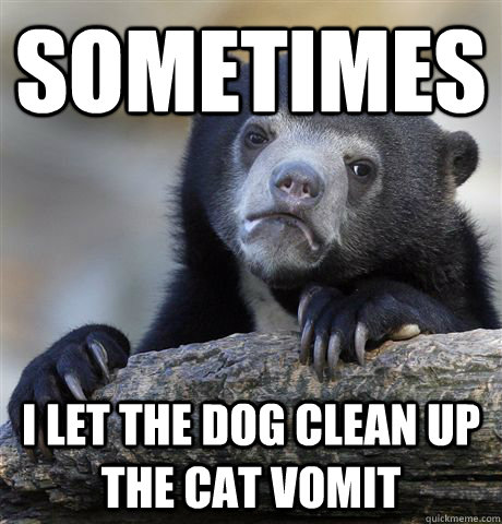 Sometimes I let the dog clean up the cat vomit  Confession Bear