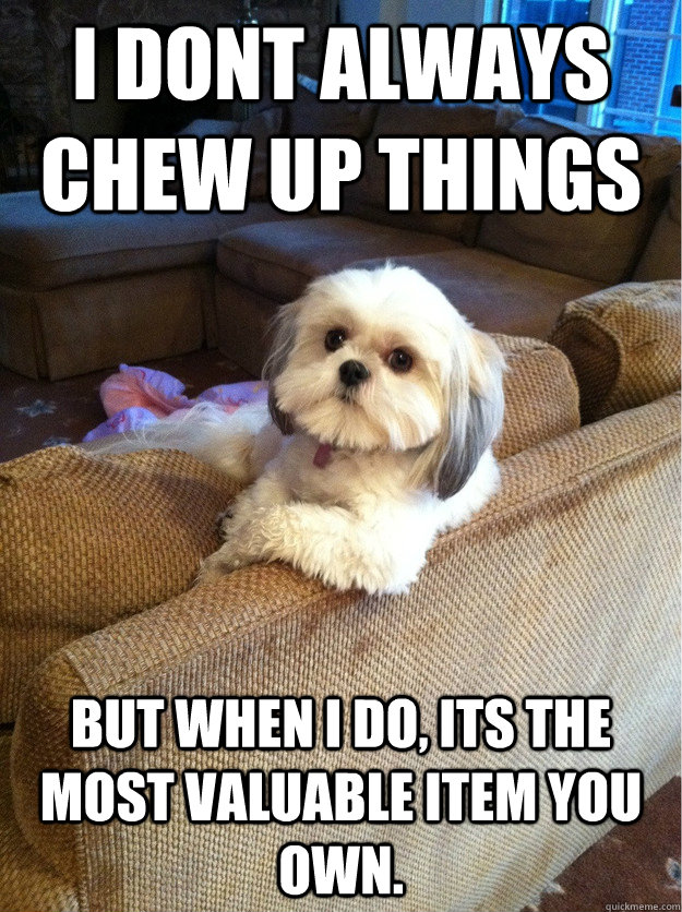 I dont always chew up things but when i do, Its the most valuable item you own.  