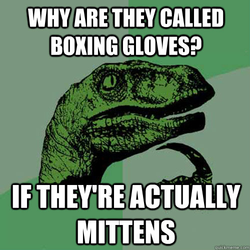 Why are they called boxing gloves? If they're actually mittens  Philosoraptor