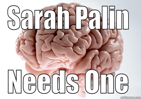 If ONLY! - SARAH PALIN NEEDS ONE Scumbag Brain