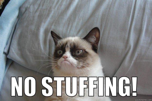  NO STUFFING! Grumpy Cat