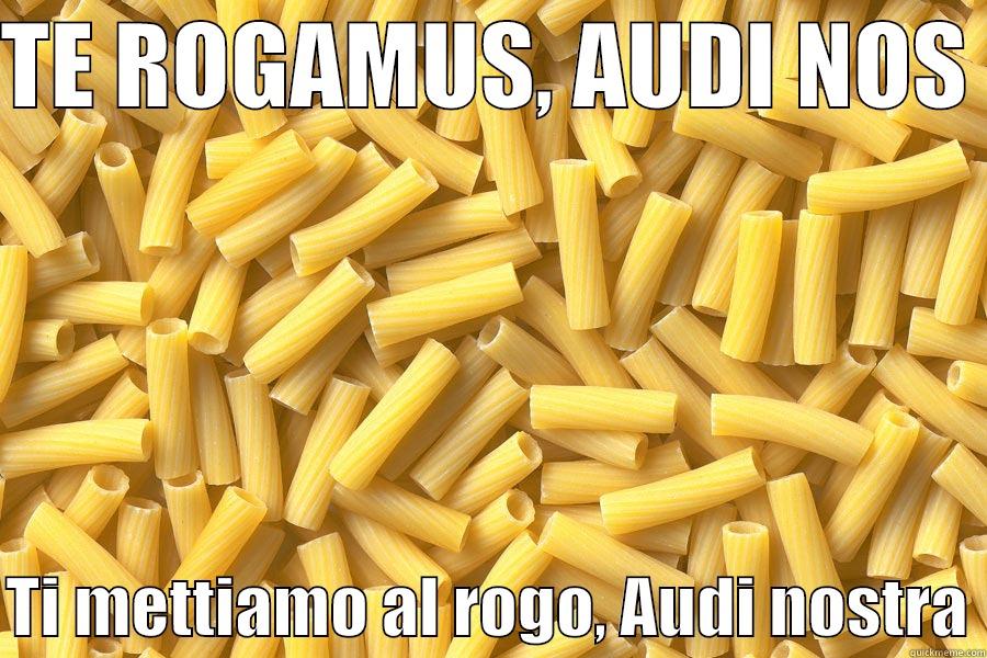 TE ROGAMUS, AUDI NOS   TI METTIAMO AL ROGO, AUDI NOSTRA Misc