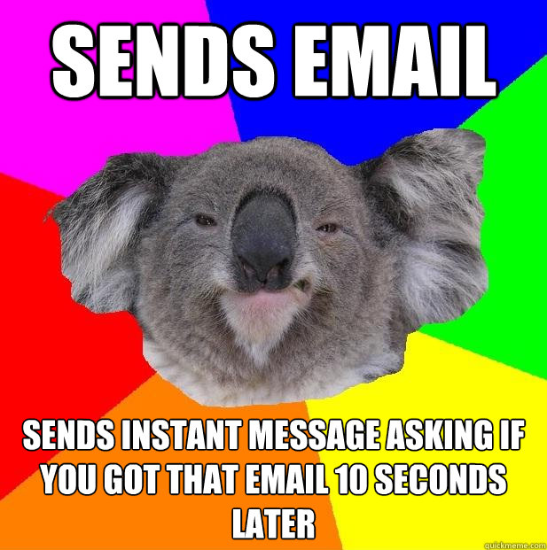 Sends email sends instant message asking if you got that email 10 seconds later  Incompetent coworker koala