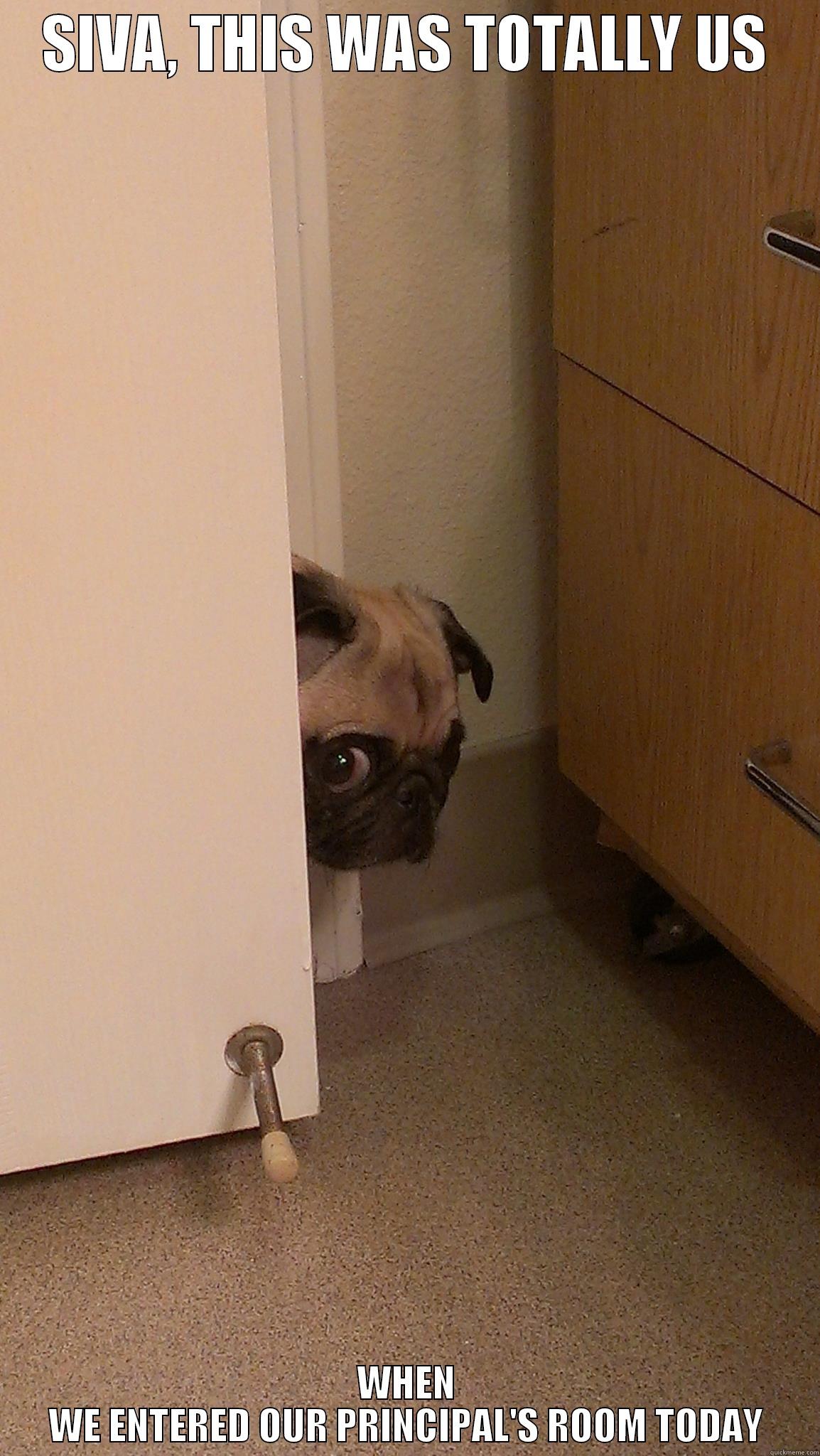 SIVA, THIS WAS TOTALLY US WHEN WE ENTERED OUR PRINCIPAL'S ROOM TODAY Misc