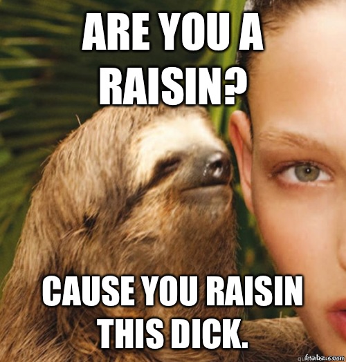 Are you a raisin? Cause you raisin this dick.  rape sloth
