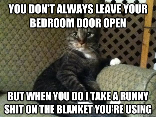 YOU DON'T ALWAYS LEAVE YOUR BEDROOM DOOR OPEN BUT WHEN YOU DO I TAKE A RUNNY SHIT ON THE BLANKET YOU'RE USING  