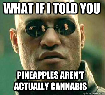 what if i told you Pineapples aren't actually cannabis   Matrix Morpheus
