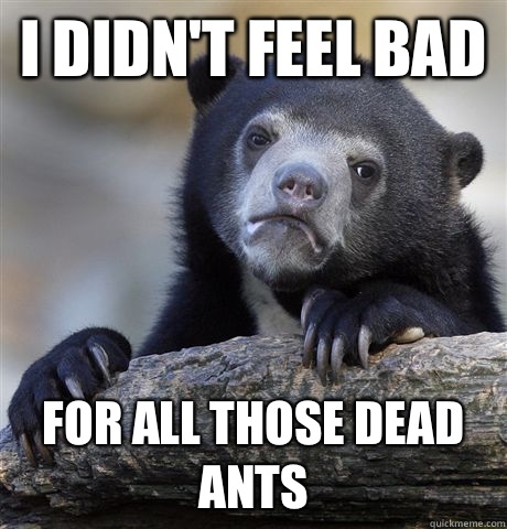 I didn't feel bad For all those dead ants  Confession Bear