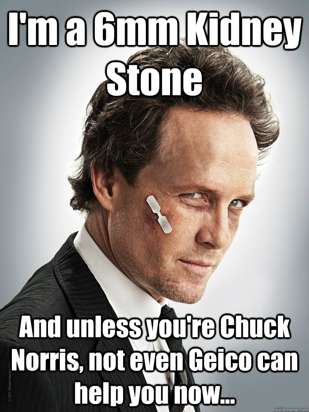 I'm a 6mm Kidney Stone And unless you're Chuck Norris, not even Geico can help you now...  Mayhem