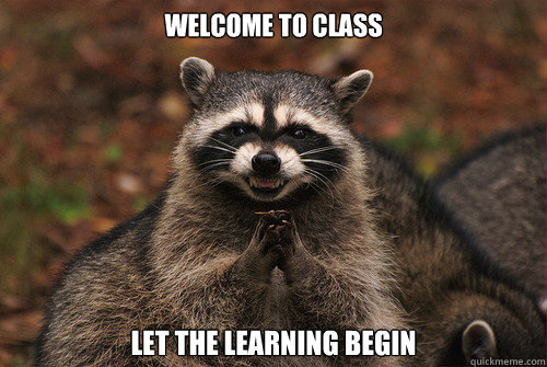 Welcome to class Let the learning begin  Insidious Racoon 2