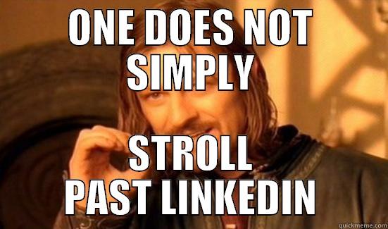 ONE DOES NOT SIMPLY STROLL PAST LINKEDIN Boromir