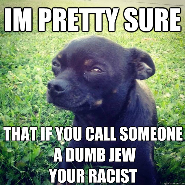 IM PRETTY SURE that if you call someone
 a dumb jew
your racist  - IM PRETTY SURE that if you call someone
 a dumb jew
your racist   Skeptical Dog